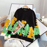 Ndyad Dinosaur Long Sleeve Sweater HZ1024