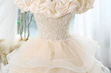 Ndyad A-line off-the-shoulder tulle lace short prom dress, champagne homecoming dress HZ1024