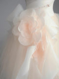Ndyad Champagne A-Line Strapless Tulle Wedding Dress£¬Gentle Beaded Long Bridal Dress HZ1024
