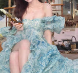 Ndyad A-Line off-shoulder organza print Long Prom Dress Birthday Adult Ceremony Dress HZ1024