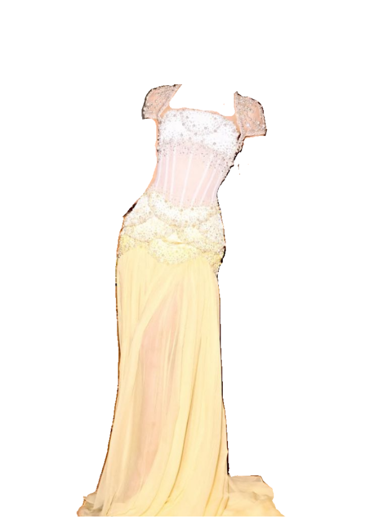 Ndyad Purple Sheath Tulle Beaded Sleeves Long Prom Dresses HZ1024