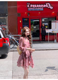 Ndyad pink floral V-neck long-sleeved dress HZ1024